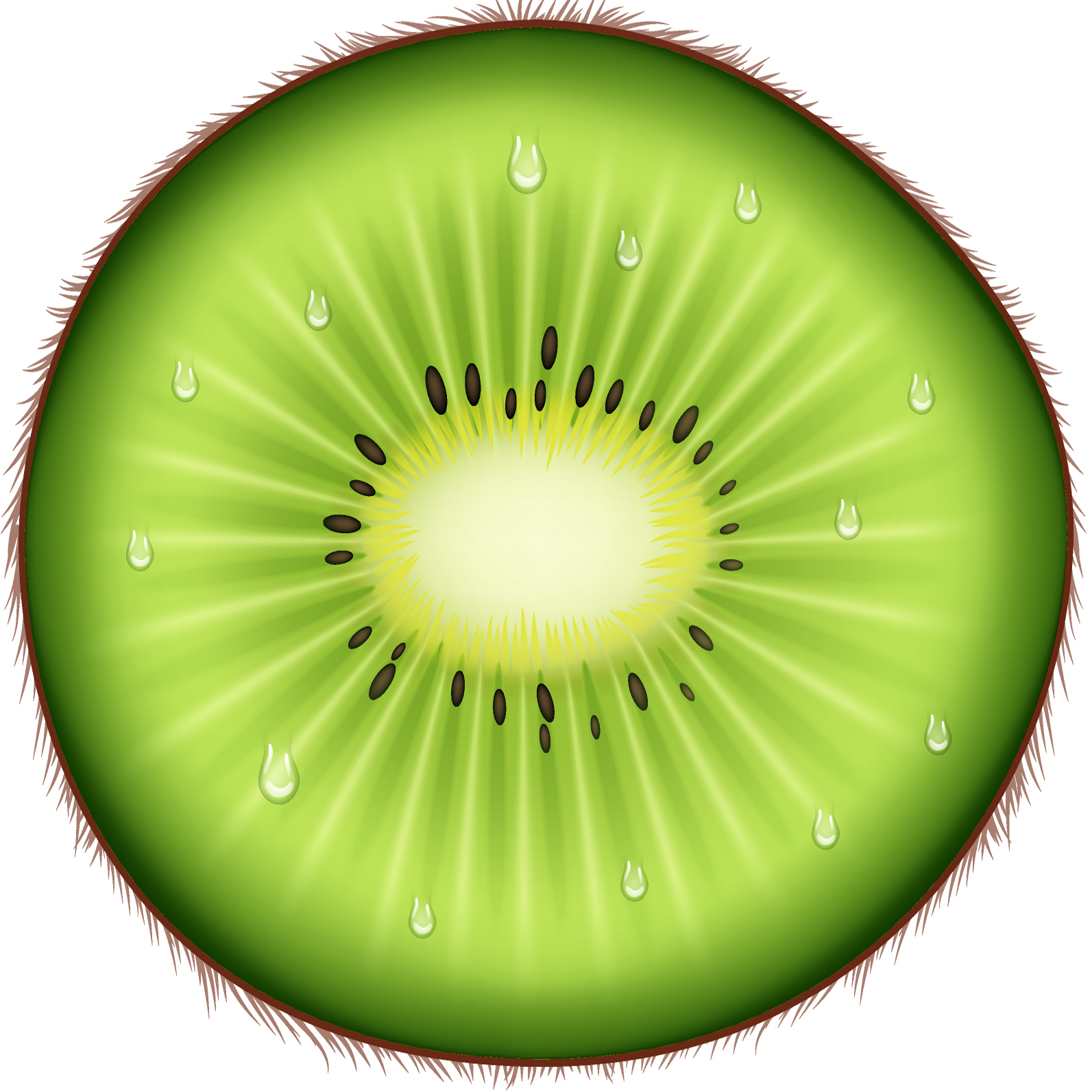 Disque alimentaire kiwi tranchée pour décoration de dessert